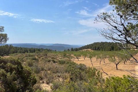 Finca i Ayora, Valencia, Ayora - € 800.000 | Ref: S-1551406 - foto 19