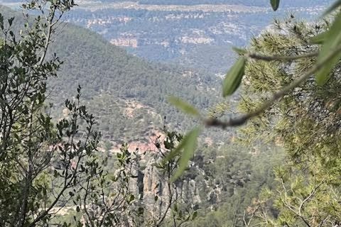 Finca i Ayora, Valencia, Ayora - € 800.000 | Ref: S-1551406 - foto 20