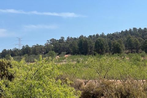 Finca i Ayora, Valencia, Ayora - € 800.000 | Ref: S-1551406 - foto 21
