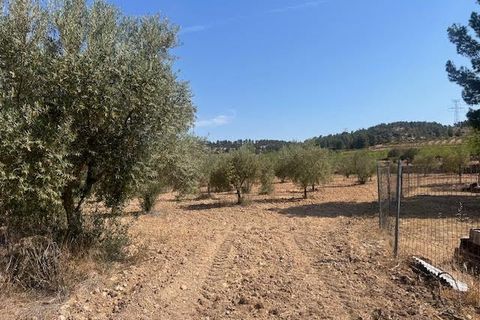 Finca i Ayora, Valencia, Ayora - € 800.000 | Ref: S-1551406 - foto 23