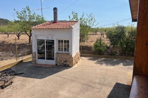 Finca i Ayora, Valencia, Ayora - € 800.000 | Ref: S-1551406 - foto 24