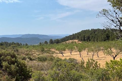 Finca i Ayora, Valencia, Ayora - € 800.000 | Ref: S-1551406 - foto 29