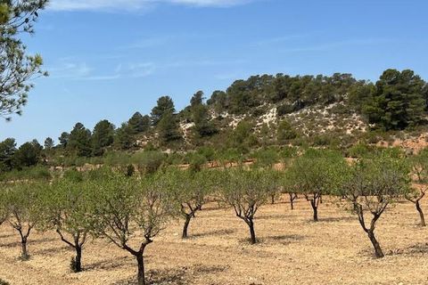 Finca i Ayora, Valencia, Ayora - € 800.000 | Ref: S-1551406 - foto 39