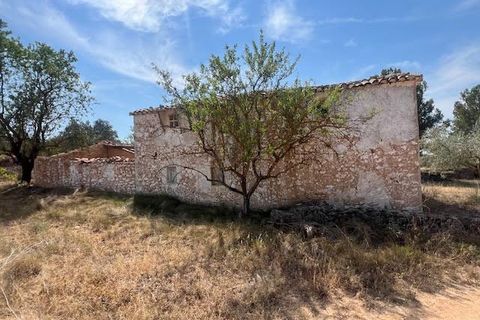 Finca i Ayora, Valencia, Ayora - € 800.000 | Ref: S-1551406 - foto 40