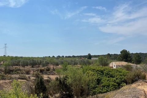 Finca i Ayora, Valencia, Ayora - € 800.000 | Ref: S-1551406 - foto 41
