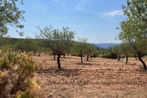 Finca i Ayora, Valencia, Ayora - € 800.000 | Ref: S-1551406 - foto 47