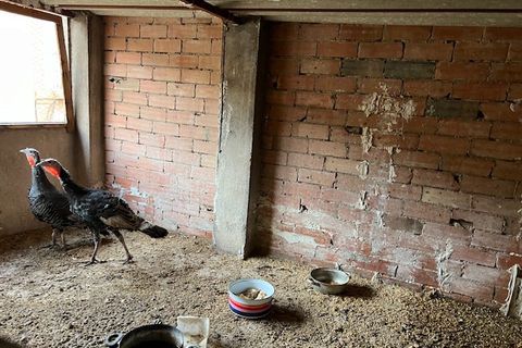 Finca a Ayora, Valencia, Ayora - € 50.000 | Ref: S-1570336 - foto 21