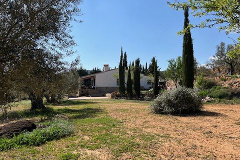 Finca i Ayora, Valencia, Ayora - € 290.000 | Ref: S-1574856 - foto 3