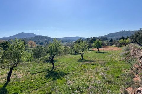 Finca i Ayora, Valencia, Ayora - € 290.000 | Ref: S-1574856 - foto 4