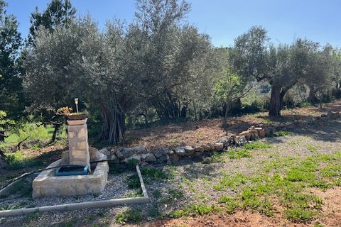 Finca i Ayora, Valencia, Ayora - € 290.000 | Ref: S-1574856 - foto 7