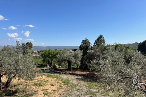Finca i Ayora, Valencia, Ayora - € 290.000 | Ref: S-1574856 - foto 8