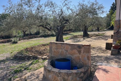 Finca i Ayora, Valencia, Ayora - € 290.000 | Ref: S-1574856 - foto 10