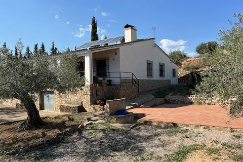 Finca i Ayora, Valencia, Ayora - € 290.000 | Ref: S-1574856 - foto 21