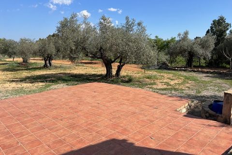 Finca i Ayora, Valencia, Ayora - € 290.000 | Ref: S-1574856 - foto 22