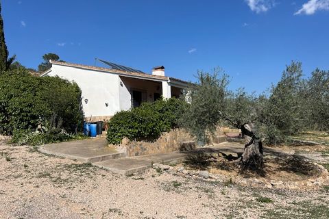 Finca i Ayora, Valencia, Ayora - € 290.000 | Ref: S-1574856 - foto 24