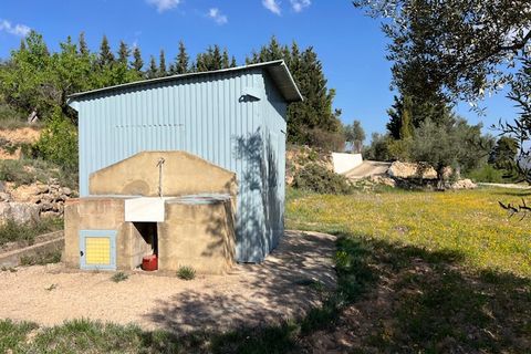 Finca i Ayora, Valencia, Ayora - € 290.000 | Ref: S-1574856 - foto 33