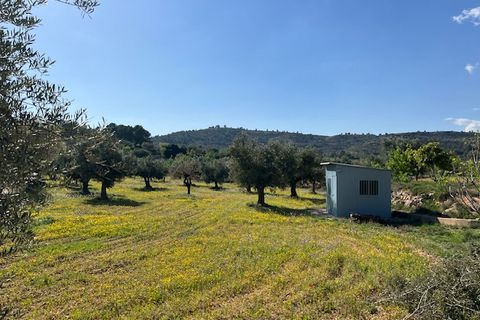Finca i Ayora, Valencia, Ayora - € 290.000 | Ref: S-1574856 - foto 34