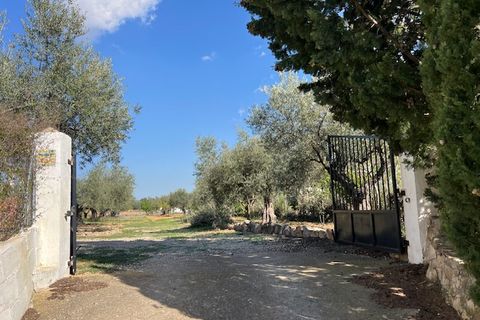 Finca i Ayora, Valencia, Ayora - € 290.000 | Ref: S-1574856 - foto 35