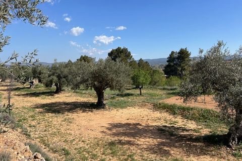 Finca i Ayora, Valencia, Ayora - € 290.000 | Ref: S-1574856 - foto 36