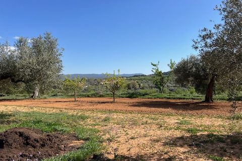 Finca i Ayora, Valencia, Ayora - € 290.000 | Ref: S-1574856 - foto 37