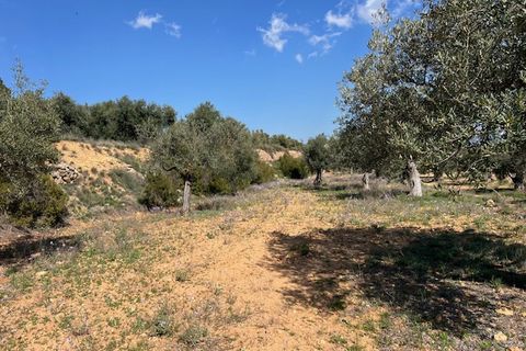 Finca i Ayora, Valencia, Ayora - € 290.000 | Ref: S-1574856 - foto 38