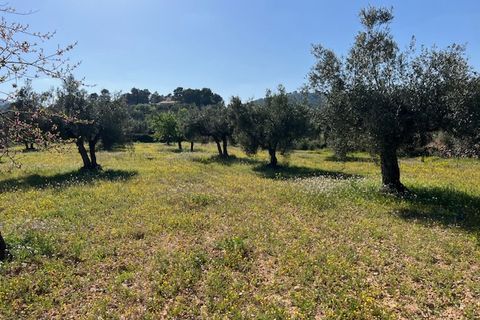Finca i Ayora, Valencia, Ayora - € 290.000 | Ref: S-1574856 - foto 40