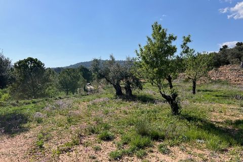 Finca i Ayora, Valencia, Ayora - € 290.000 | Ref: S-1574856 - foto 41