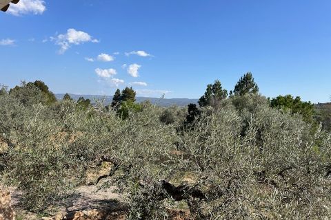 Finca i Ayora, Valencia, Ayora - € 290.000 | Ref: S-1574856 - foto 42