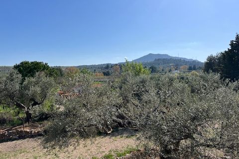 Finca i Ayora, Valencia, Ayora - € 290.000 | Ref: S-1574856 - foto 43