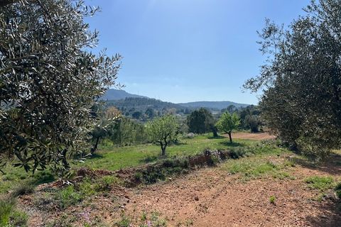 Finca i Ayora, Valencia, Ayora - € 290.000 | Ref: S-1574856 - foto 44