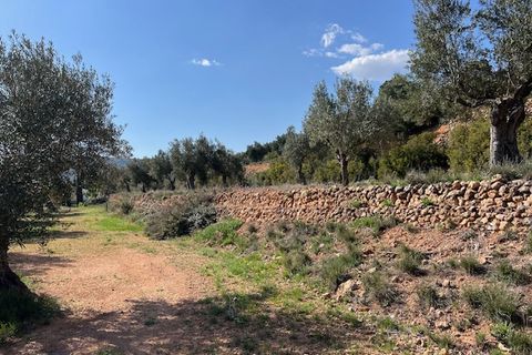 Finca i Ayora, Valencia, Ayora - € 290.000 | Ref: S-1574856 - foto 45