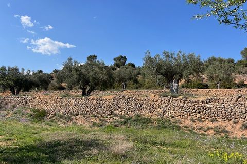 Finca i Ayora, Valencia, Ayora - € 290.000 | Ref: S-1574856 - foto 46