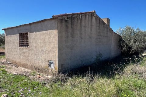 Finca i Ayora, Valencia, Ayora - € 65.000 | Ref: S-1575052 - foto 3