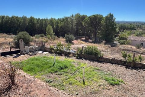 Finca i Ayora, Valencia, Ayora - € 219.000 | Ref: S-1580014 - foto 4
