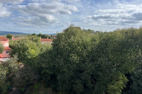 Finca i Zarra, Valencia, Zarra - € 90.000 | Ref: S-1582106 - foto 28