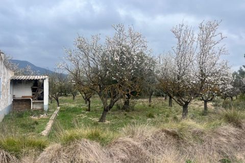 Finca i Jarafuel, Valencia, Jarafuel - € 74.000 | Ref: S-1594318 - foto 9