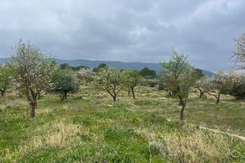 Finca i Jarafuel, Valencia, Jarafuel - € 74.000 | Ref: S-1594318 - foto 10