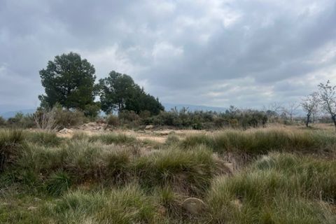 Finca i Jarafuel, Valencia, Jarafuel - € 74.000 | Ref: S-1594318 - foto 13