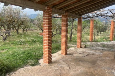 Finca i Jarafuel, Valencia, Jarafuel - € 74.000 | Ref: S-1594318 - foto 2