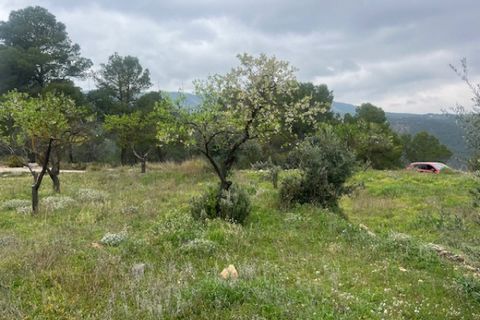 Finca i Jarafuel, Valencia, Jarafuel - € 74.000 | Ref: S-1594318 - foto 30