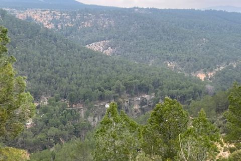 Finca i Jarafuel, Valencia, Jarafuel - € 74.000 | Ref: S-1594318 - foto 31