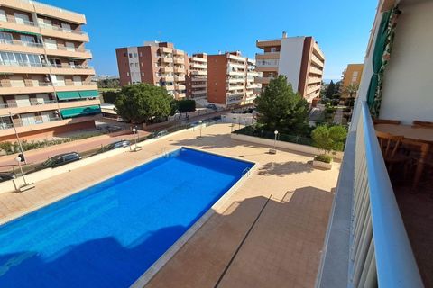 Apartment in Punta Prima, Alicante, Punta Prima - € 900/month | Ref: PIS0051A - photo 26