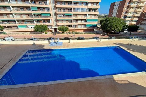 Apartment in Punta Prima, Alicante, Punta Prima - € 900/month | Ref: PIS0051A - photo 29