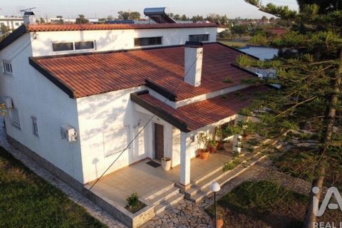 Farm i Benavente, Santarem, Benavente - € 1.075.000 | Ref: 861499 - foto 4