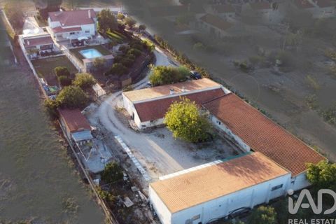 Farm i Benavente, Santarem, Benavente - € 1.075.000 | Ref: 861499 - foto 5