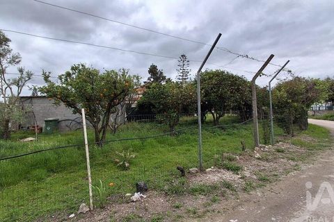 Farm i Benavente, Santarem, Benavente - € 1.075.000 | Ref: 861499 - foto 6