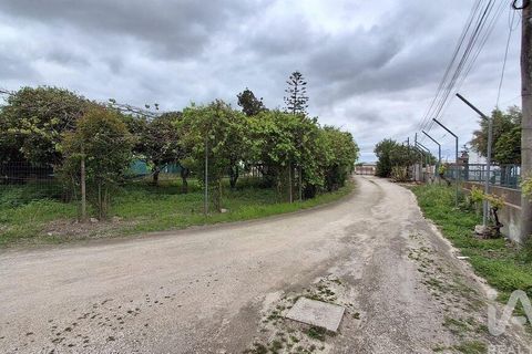 Farm i Benavente, Santarem, Benavente - € 1.075.000 | Ref: 861499 - foto 7