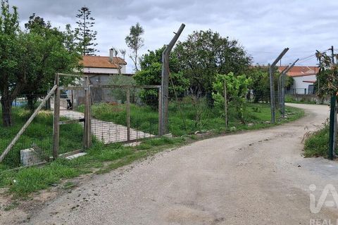 Farm i Benavente, Santarem, Benavente - € 1.075.000 | Ref: 861499 - foto 9