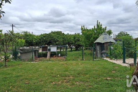 Farm i Benavente, Santarem, Benavente - € 1.075.000 | Ref: 861499 - foto 13