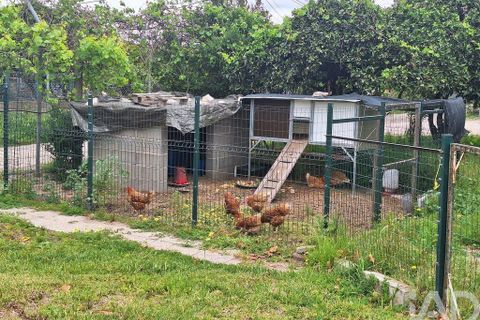 Farm i Benavente, Santarem, Benavente - € 1.075.000 | Ref: 861499 - foto 14